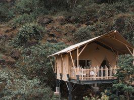 Khám phá sự kỳ diệu của thiên nhiên tại Auko Eco-Wellness Lodges